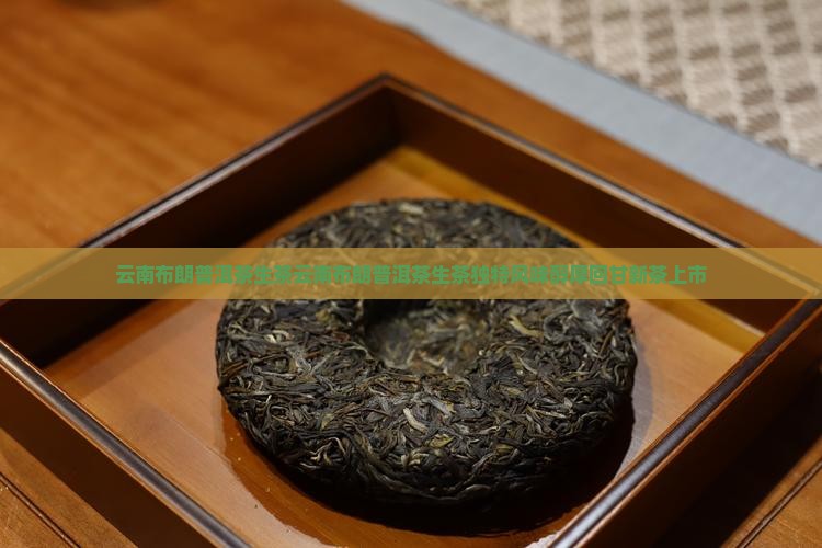 云南布朗普洱茶生茶