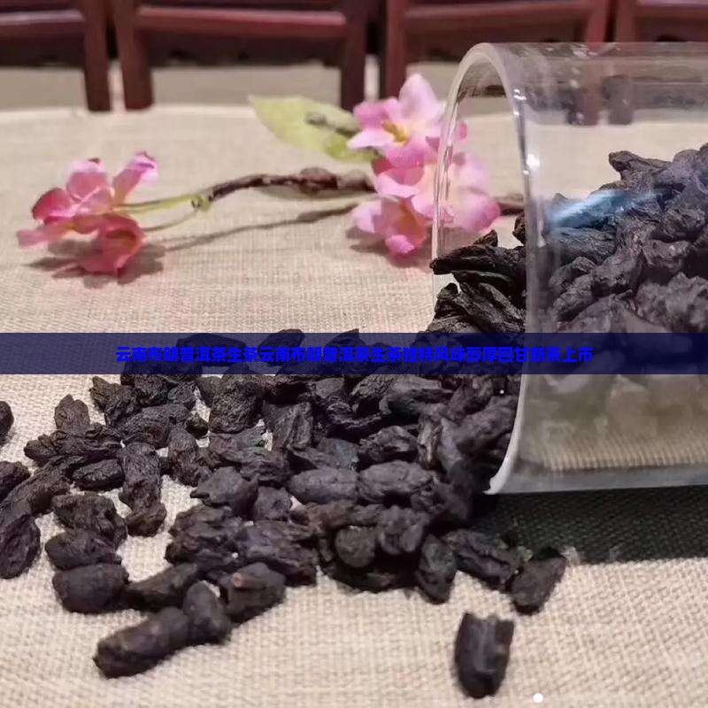 云南布朗普洱茶生茶