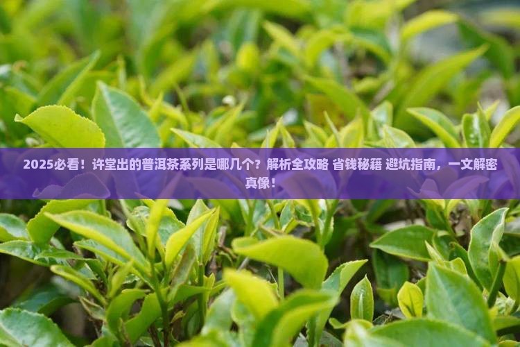 许堂出的普洱茶系列是什么