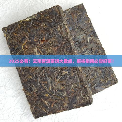 云南普洱茶饼都有哪些