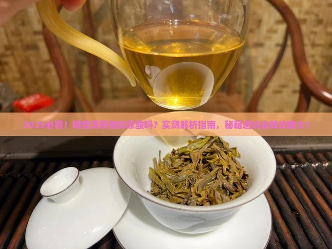 喝普洱茶能不能排尿酸
