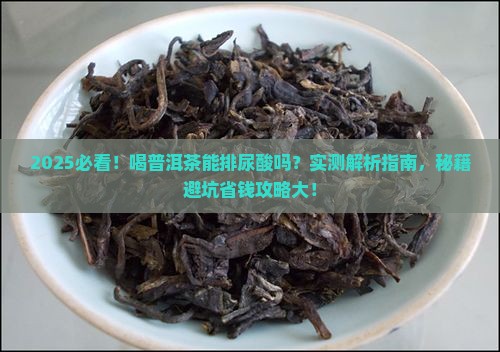 喝普洱茶能不能排尿酸