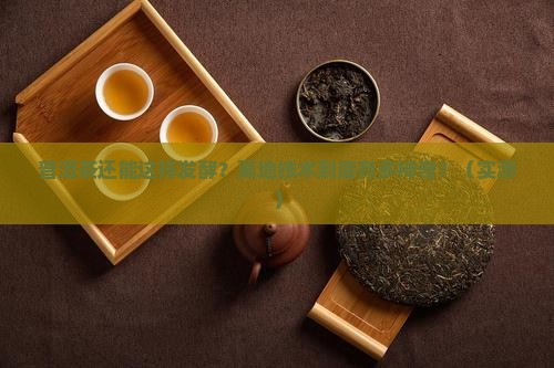 普洱茶离地发酵技术