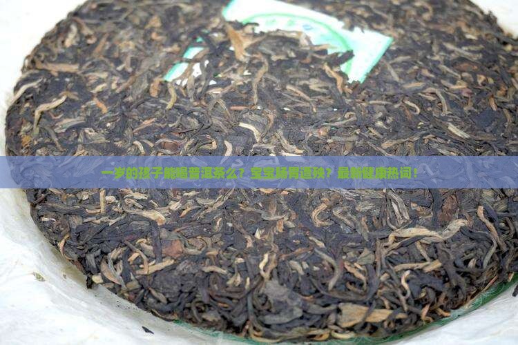 一岁的孩子能喝普洱茶么