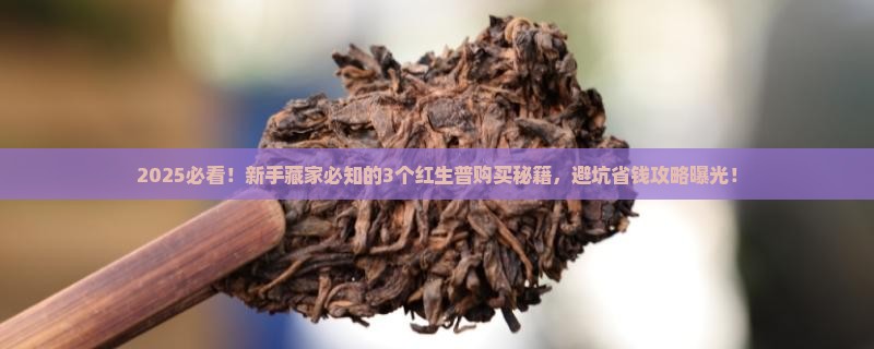 普洱茶红生普怎么购买藏