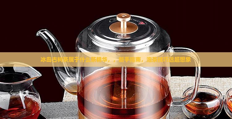 冰岛古树茶属于什么茶精华