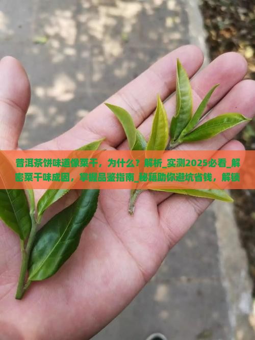 普洱茶饼味道像菜干