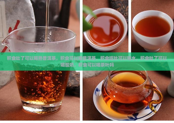 积食吐了可以喝熟普洱茶