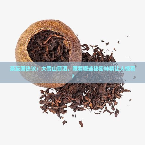 茶友圈热议：大雪山普洱，藏着哪些秘密味精让人惊喜？
