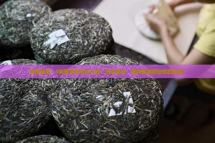 茶友困惑：5种普洱茶该怎么选？日常品饮，哪种更能抓住你的味蕾？
