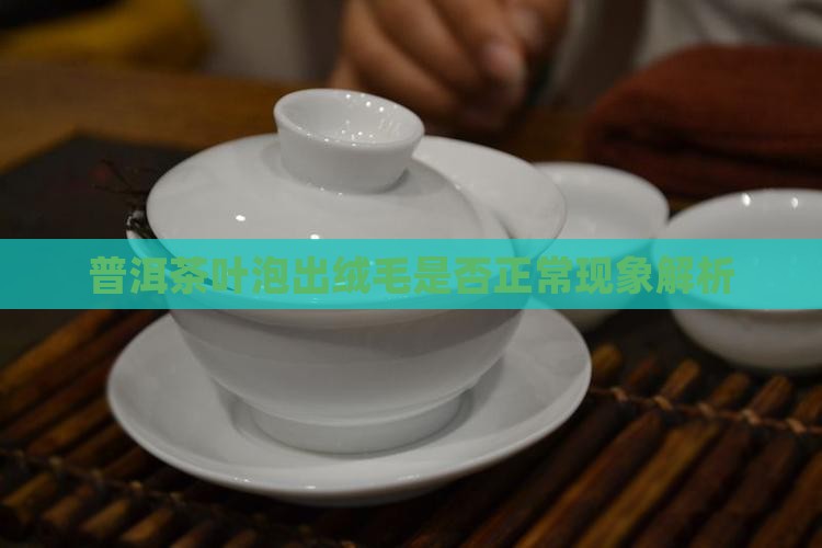 普洱茶叶泡出绒毛是否正常现象解析 普洱茶叶泡出绒毛是否正常现象解析
