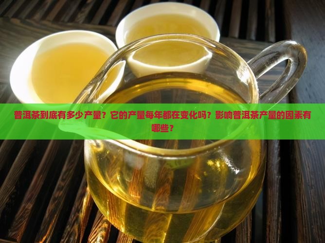 普洱茶到底有多少产量？它的产量每年都在变化吗？影响普洱茶产量的因素有哪些？