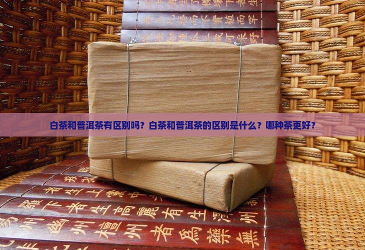 白茶和普洱茶有区别吗？白茶和普洱茶的区别是什么？哪种茶更好？