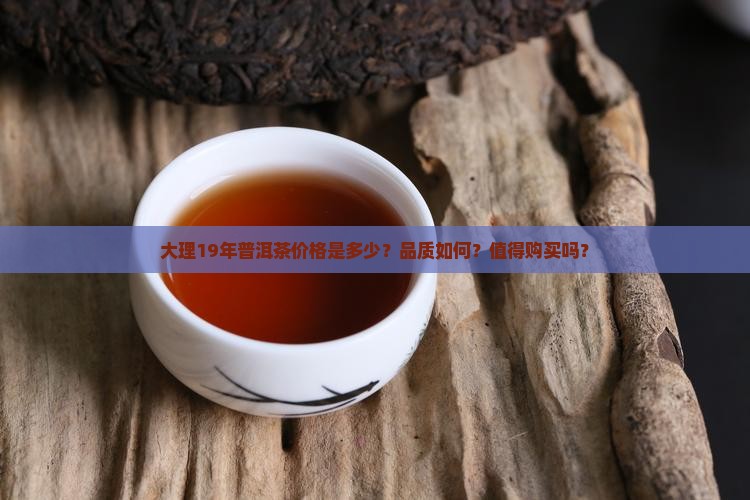 大理19年普洱茶价格是多少？品质如何？值得购买吗？