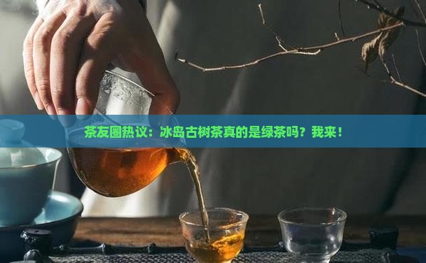 茶友圈热议：冰岛古树茶真的是绿茶吗？我来！