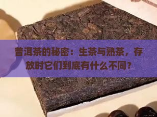 普洱茶的秘密：生茶与熟茶，存放时它们到底有什么不同？
