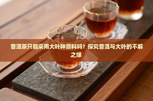 普洱茶只能采用大叶种原料吗？探究普洱与大叶的不解之缘