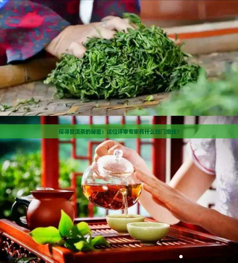 探寻普洱茶的秘密：这位评审专家有什么独门绝技？