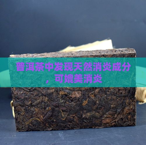 普洱茶中发现天然消炎成分，可媲美消炎