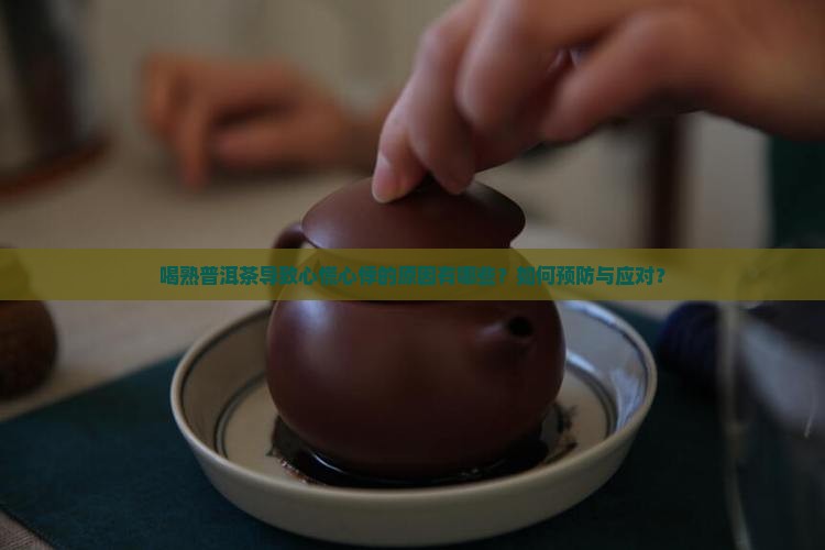 喝熟普洱茶导致心慌心悸的原因有哪些？如何预防与应对？