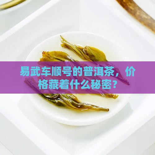 易武车顺号的普洱茶，价格藏着什么秘密？