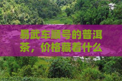 易武车顺号的普洱茶，价格藏着什么秘密？