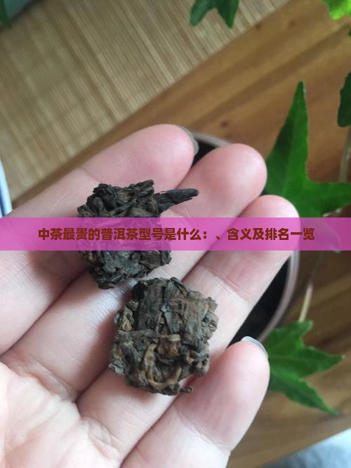 中茶最贵的普洱茶型号是什么：、含义及排名一览