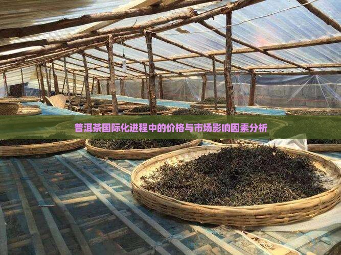 普洱茶国际化进程中的价格与市场影响因素分析