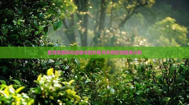 普洱茶国际化进程中的价格与市场影响因素分析