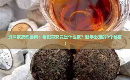 资深茶友都会问：老班章究竟是什么茶？新手必知的3个秘密！