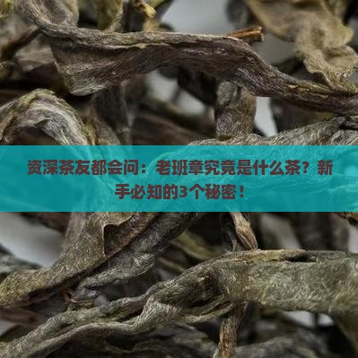 资深茶友都会问：老班章究竟是什么茶？新手必知的3个秘密！