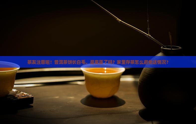 茶友注意啦！普洱茶饼长白毛，是变质了吗？家里存茶怎么避免这情况？