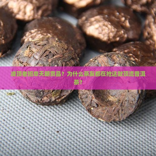 凌顶老班章天朝贡品？为什么茶友都在抢这款顶流普洱茶？