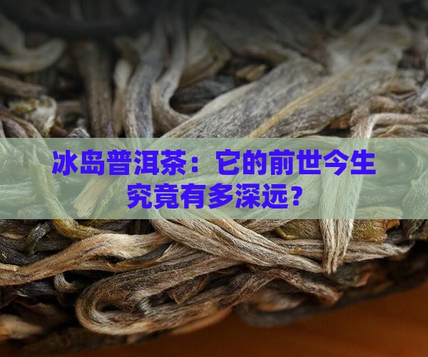 冰岛普洱茶：它的前世今生究竟有多深远？