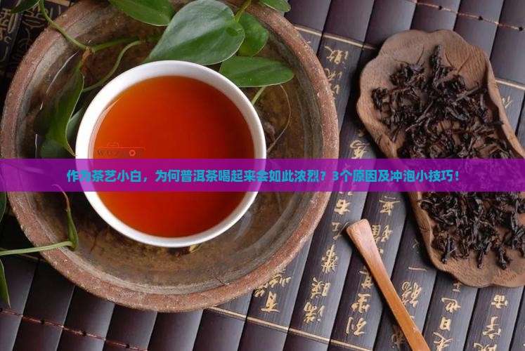 作为茶艺小白，为何普洱茶喝起来会如此浓烈？3个原因及冲泡小技巧！