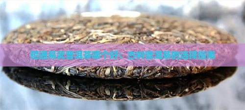 昭通易武普洱茶哪个好：古树普洱茶的选择指南