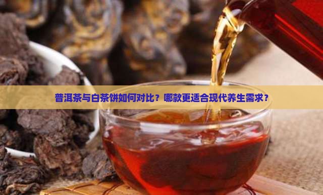 普洱茶与白茶饼如何对比？哪款更适合现代养生需求？