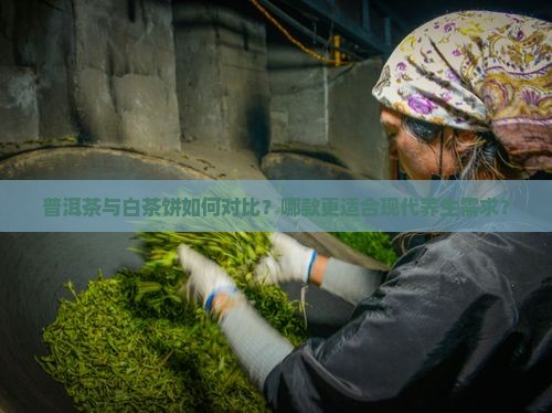 普洱茶与白茶饼如何对比？哪款更适合现代养生需求？