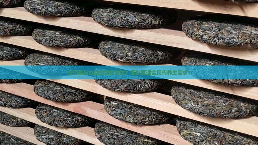 普洱茶与白茶饼如何对比？哪款更适合现代养生需求？
