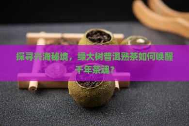 探寻兴海秘境，绿大树普洱熟茶如何唤醒千年茶魂？