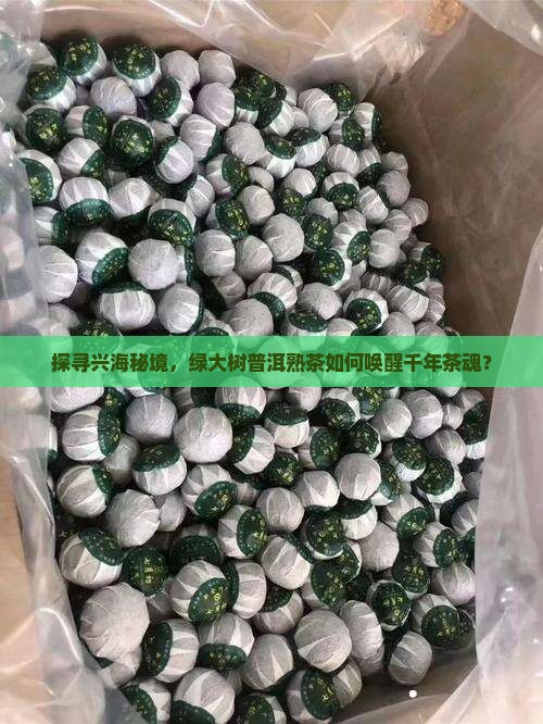 探寻兴海秘境，绿大树普洱熟茶如何唤醒千年茶魂？