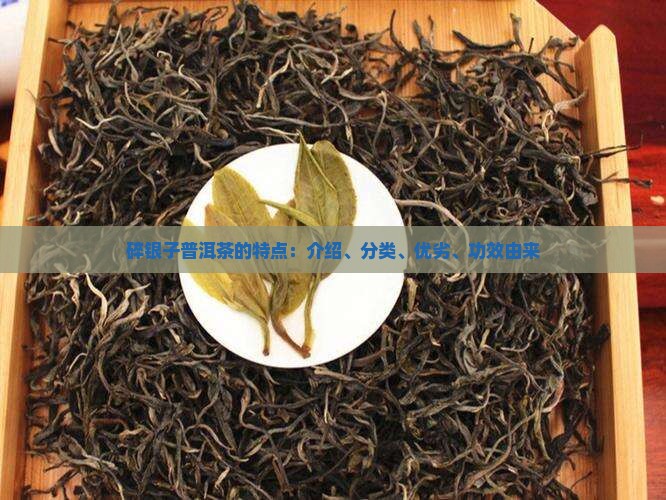 碎银子普洱茶的特点：介绍、分类、优劣、功效由来