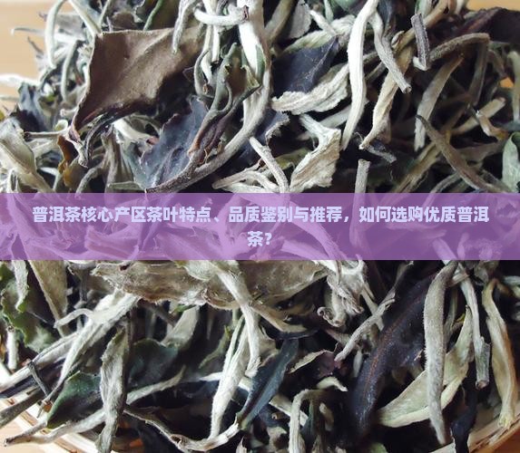 普洱茶核心产区茶叶特点、品质鉴别与推荐，如何选购优质普洱茶？