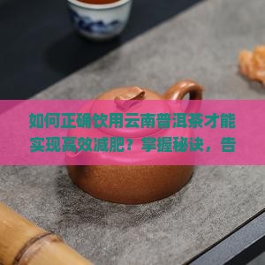 如何正确饮用云南普洱茶才能实现高效减肥？掌握秘诀，告别肥胖困扰！