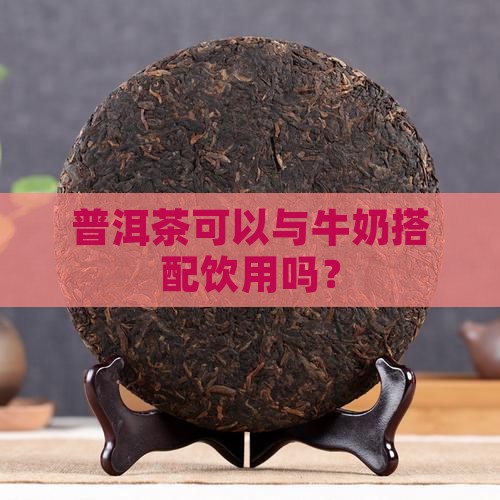 普洱茶可以与牛奶搭配饮用吗？