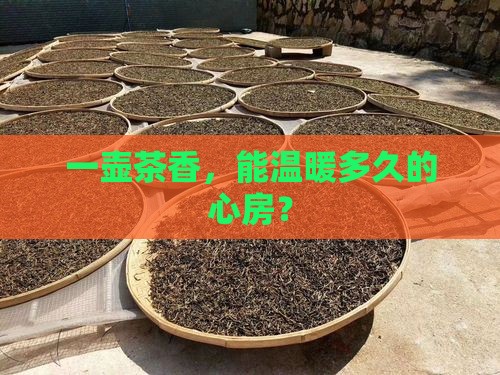 一壶茶香，能温暖多久的心房？