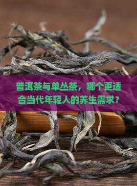 普洱茶与单丛茶，哪个更适合当代年轻人的养生需求？