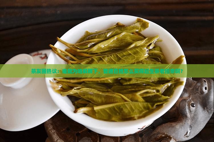 茶友圈热议：谁能为咱解释下，普通百姓怎么买得起生茶老班章啊？