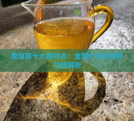 普洱茶十大茶特点：全面介绍与独特口感解析