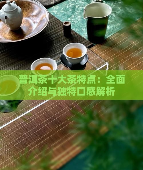 普洱茶十大茶特点：全面介绍与独特口感解析